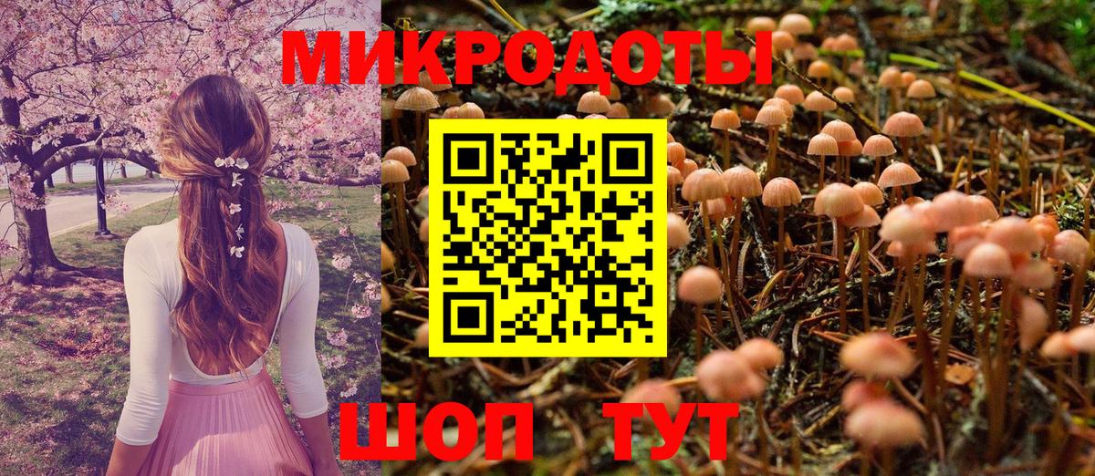 Галлюциногенные грибы Cubensis Родники