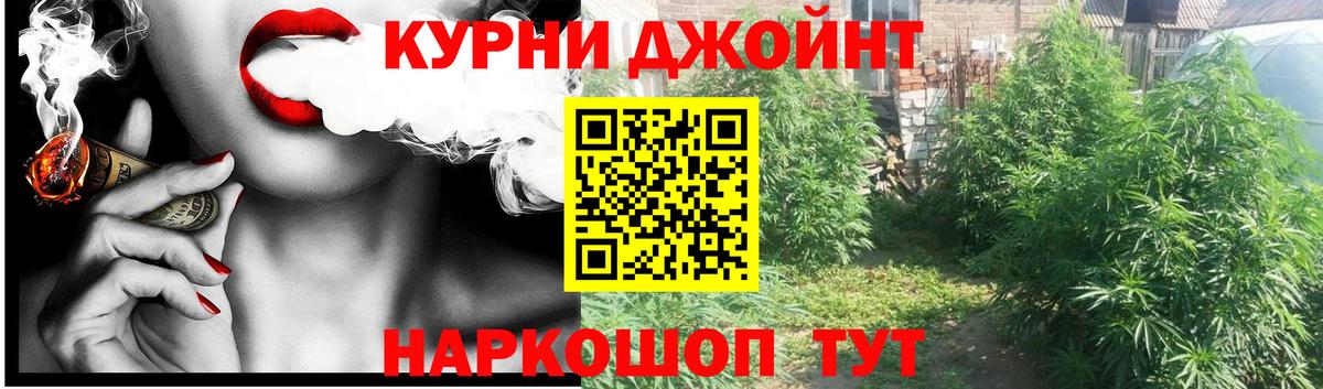Шишки марихуана OG Kush  Вход с VPN  Родники  Конопля сатива  Бошки марихуана гибрид 